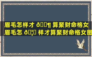 眉毛怎样才 🐶 算聚财命格女「眉毛怎 🦍 样才算聚财命格女图片」